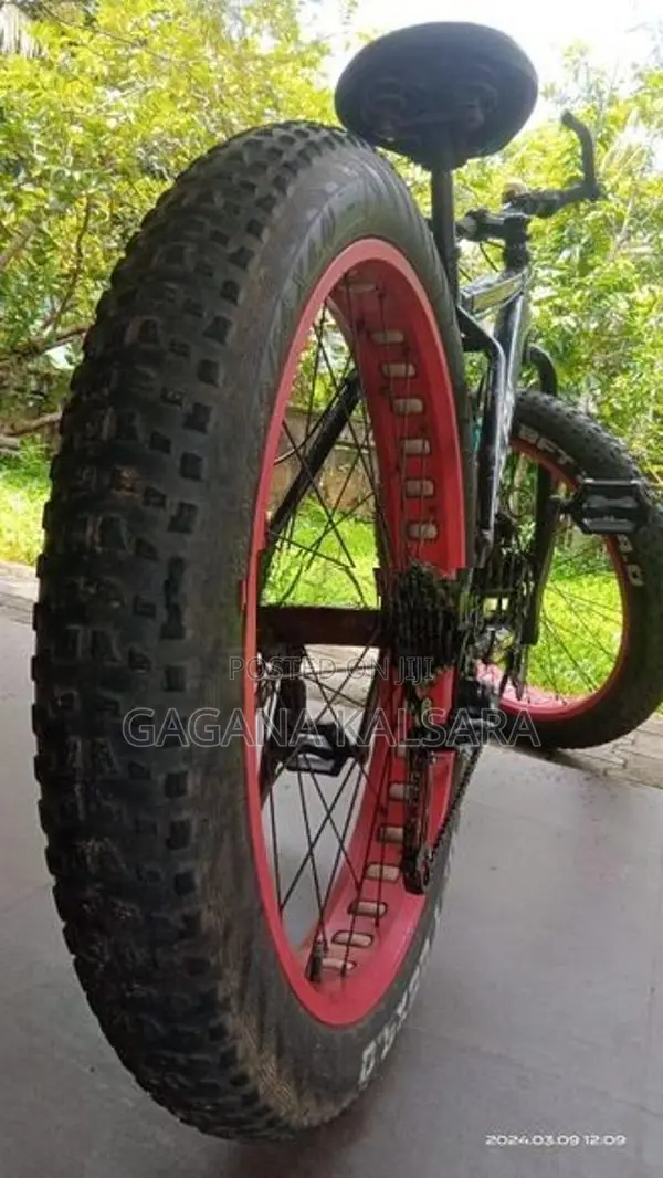 Bicycle