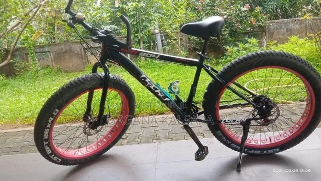 Bicycle