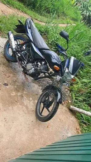 Bajaj Platina 125 2010