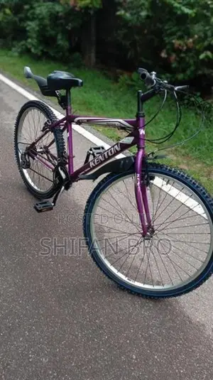 Mountain Bicycle