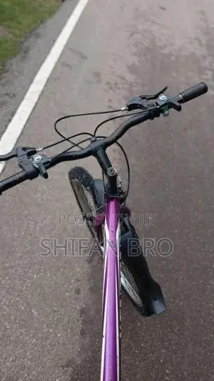 Mountain Bicycle