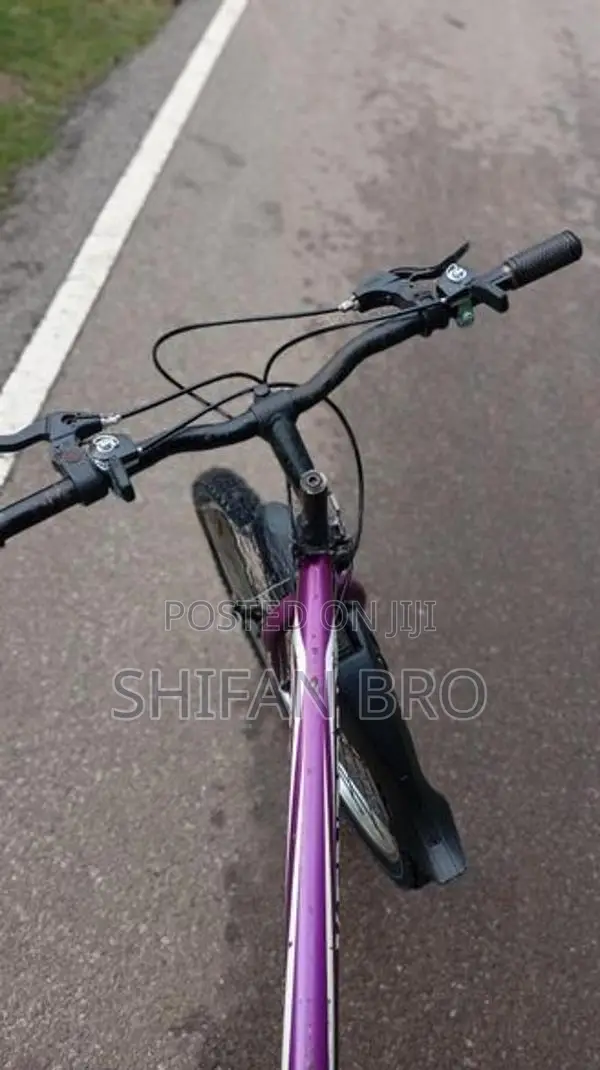 Mountain Bicycle