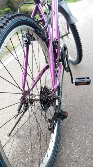 Mountain Bicycle