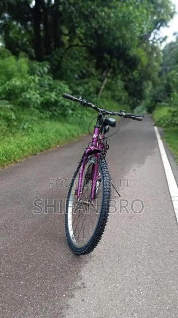 Mountain Bicycle