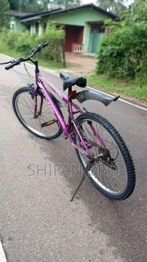 Mountain Bicycle