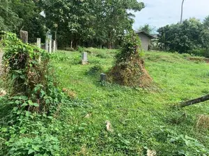 24.9 Perch Land for Sale in Demanhandiya Negombo