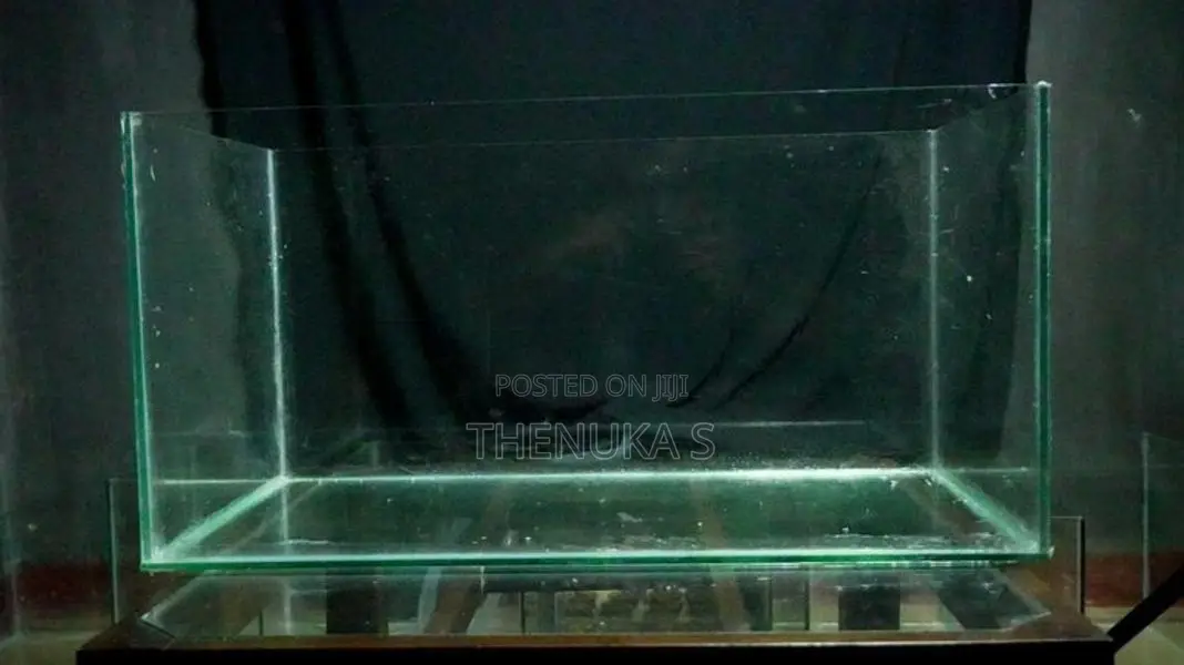 Fish Tank with Breeding Box
