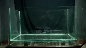 Fish Tank with Breeding Box