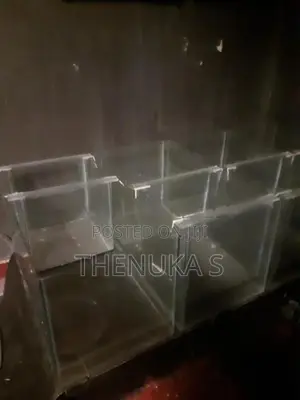 Fish Tank with Breeding Box