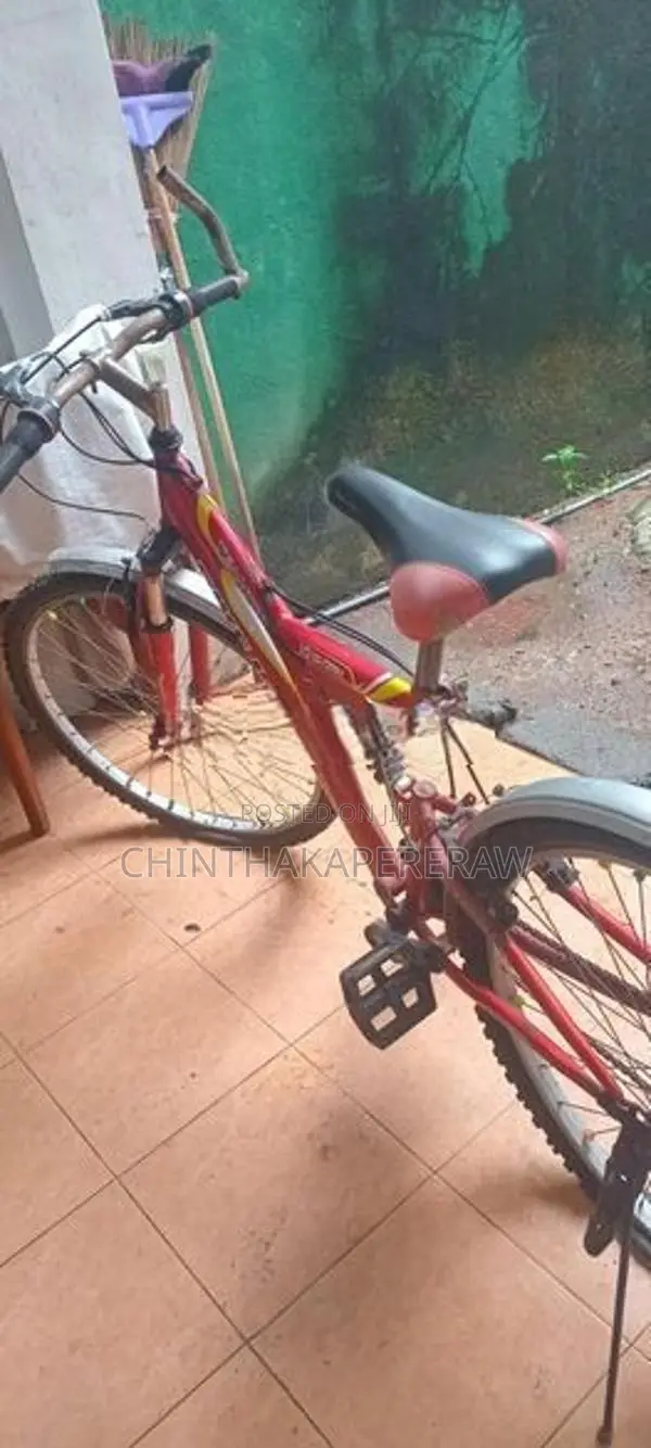 Bicycle