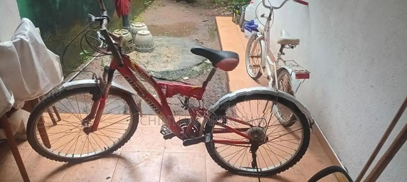 Bicycle
