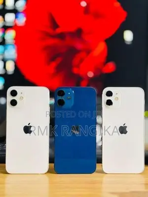 Apple iPhone 12 mini 128GB (Used)