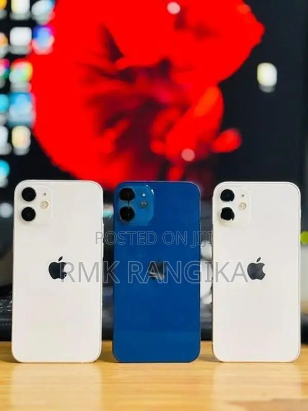 Apple iPhone 12 mini 128GB (Used)