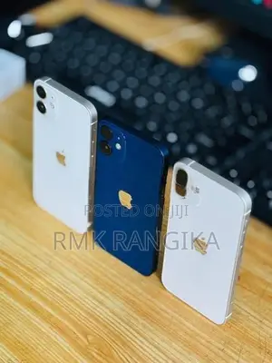 Apple iPhone 12 mini 128GB (Used)
