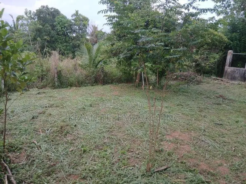 Land for Sale in Halbarawa, Padukka