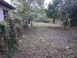 Land for Sale in Halbarawa, Padukka