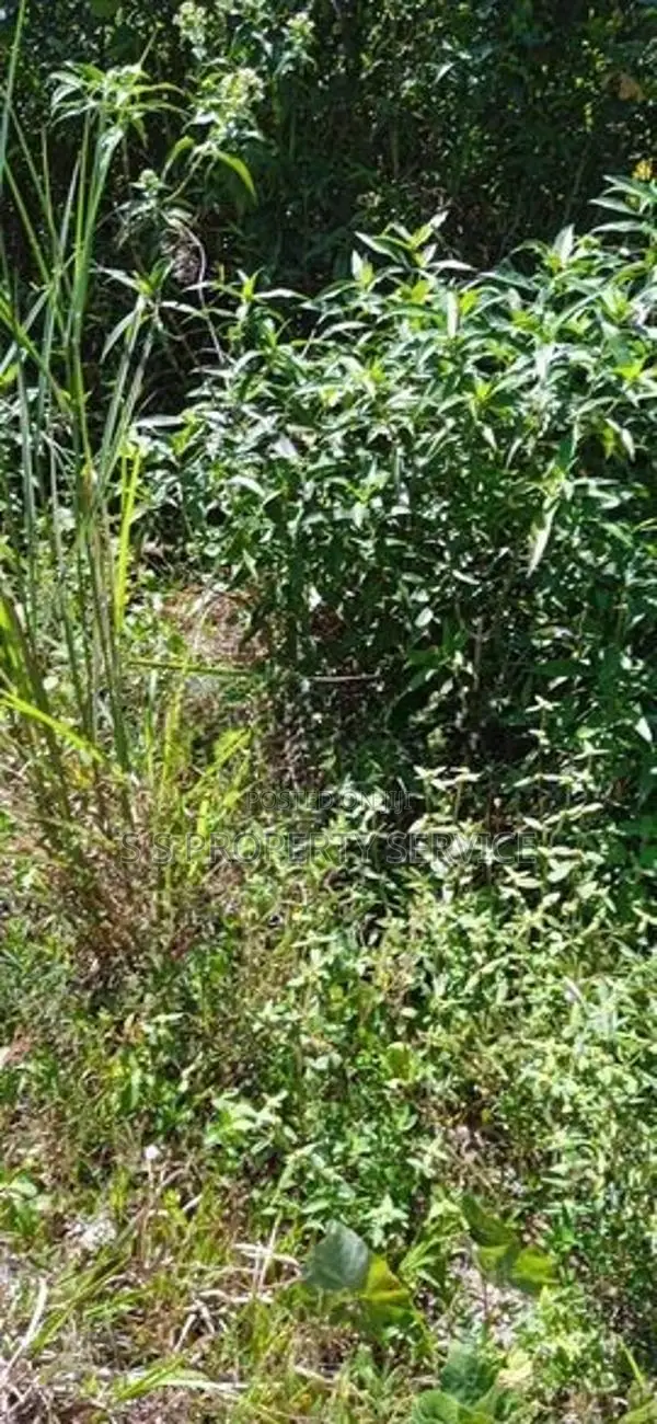 Gonapola - 12 Perches Land for Sale (SSPL-407)