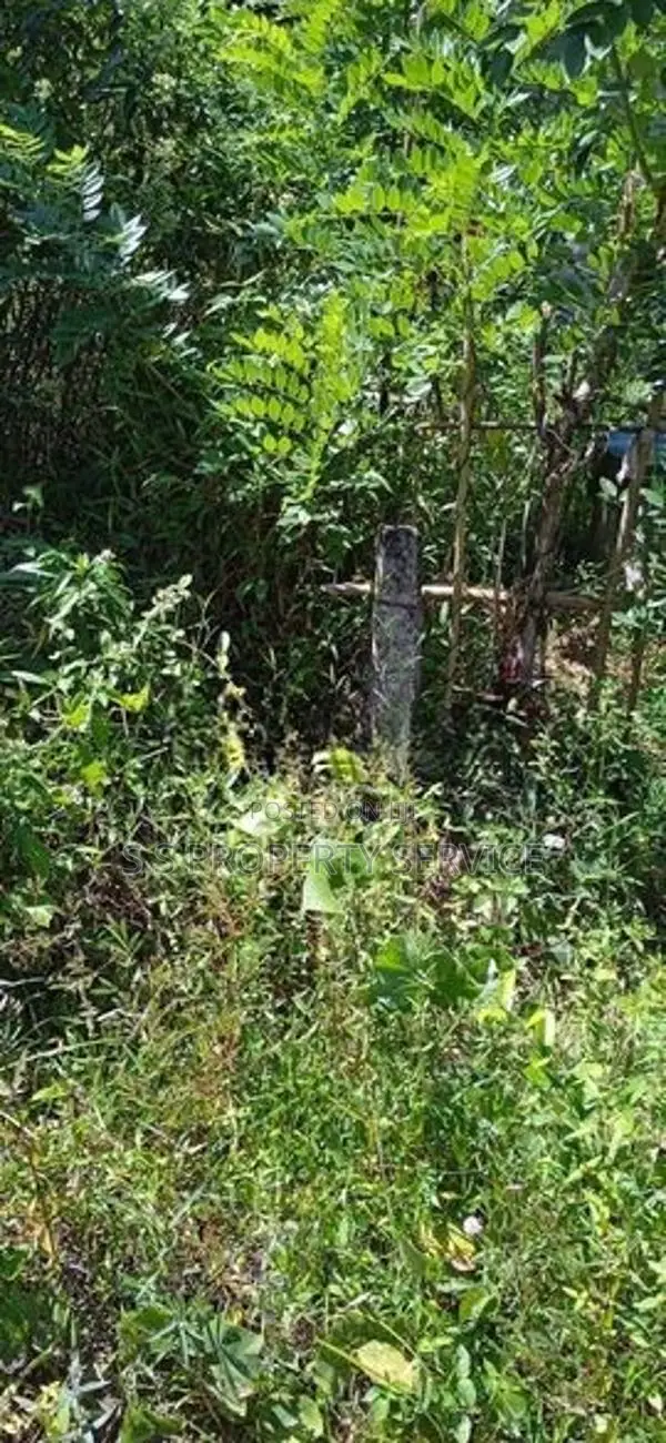 Gonapola - 12 Perches Land for Sale (SSPL-407)