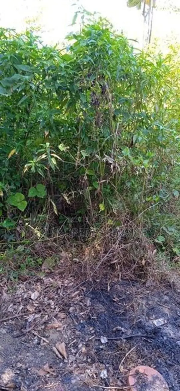 Gonapola - 12 Perches Land for Sale (SSPL-407)