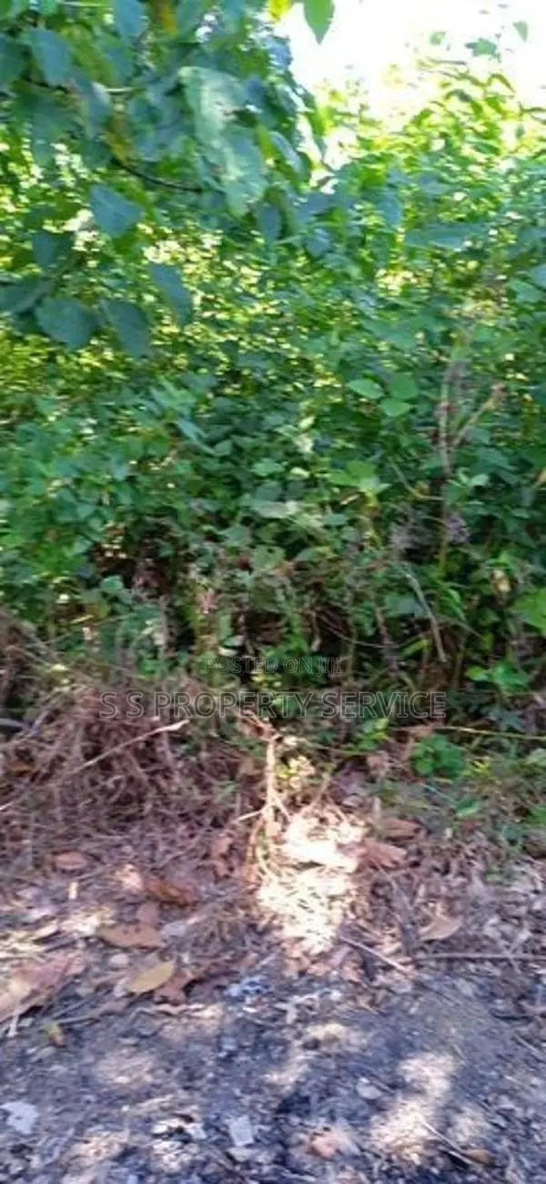 Gonapola - 12 Perches Land for Sale (SSPL-407)