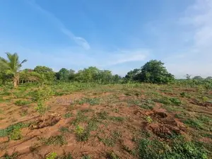 Chilaw Valuable Coconut Land for Sale