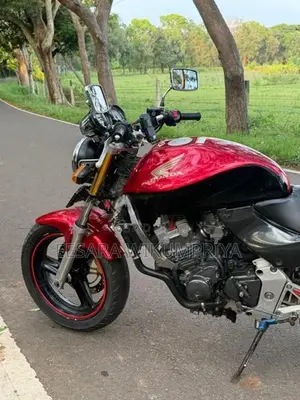 Honda Hornet 2010