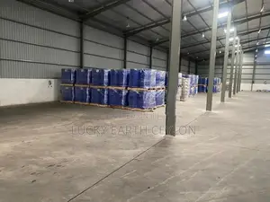 Nawagomuwa, 40 Foot Container Access Warehouse, For Rent (MG1331)
