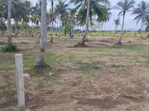 Land for Sale in Nearby to Anuradhapura Nachchaduwa Road