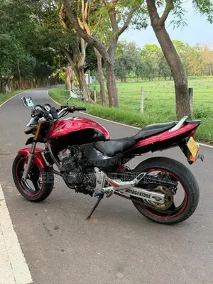 Honda Hornet 2010