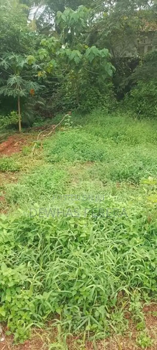 vip land for sale kandana gnemulla road