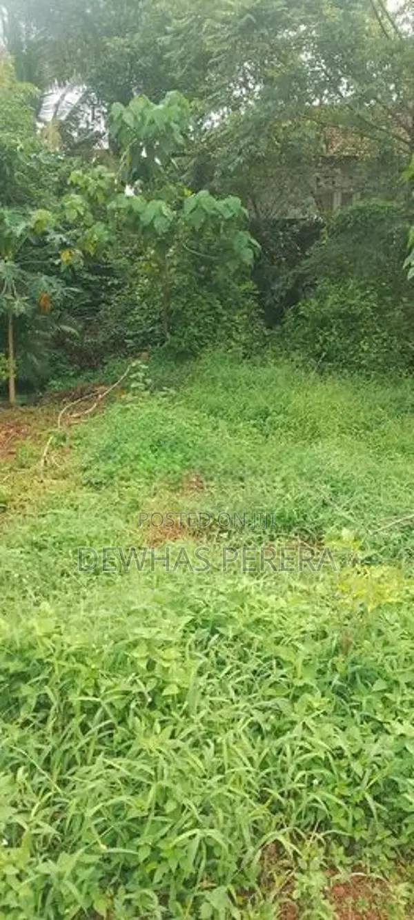 vip land for sale kandana gnemulla road