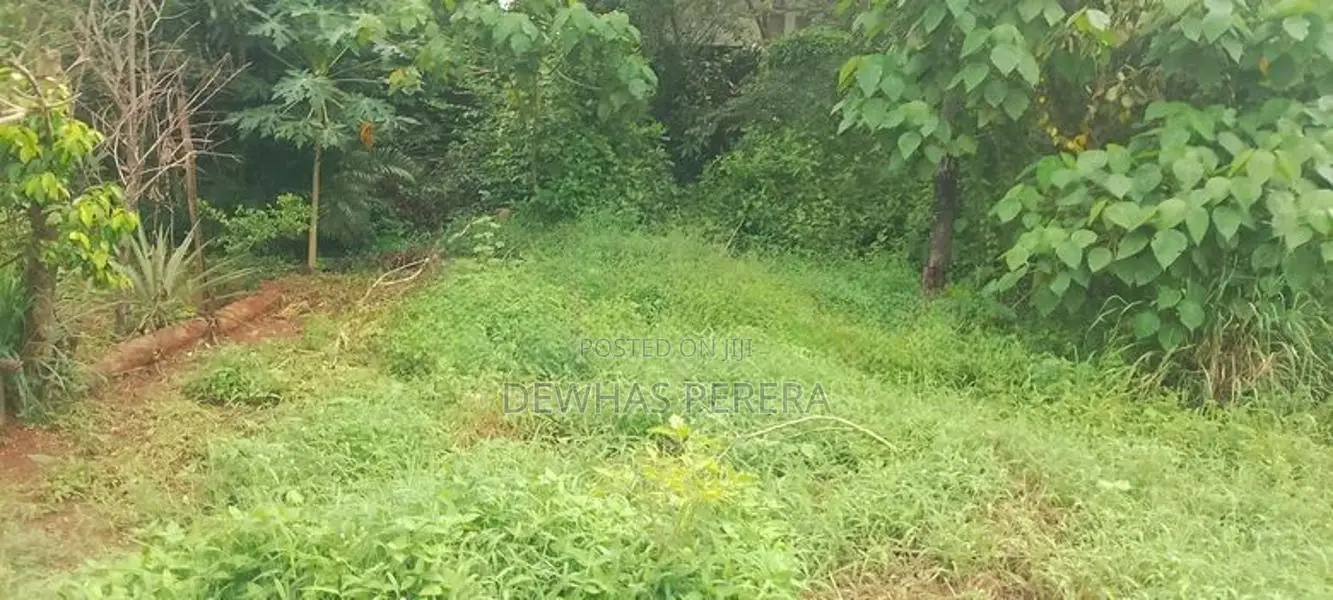 vip land for sale kandana gnemulla road