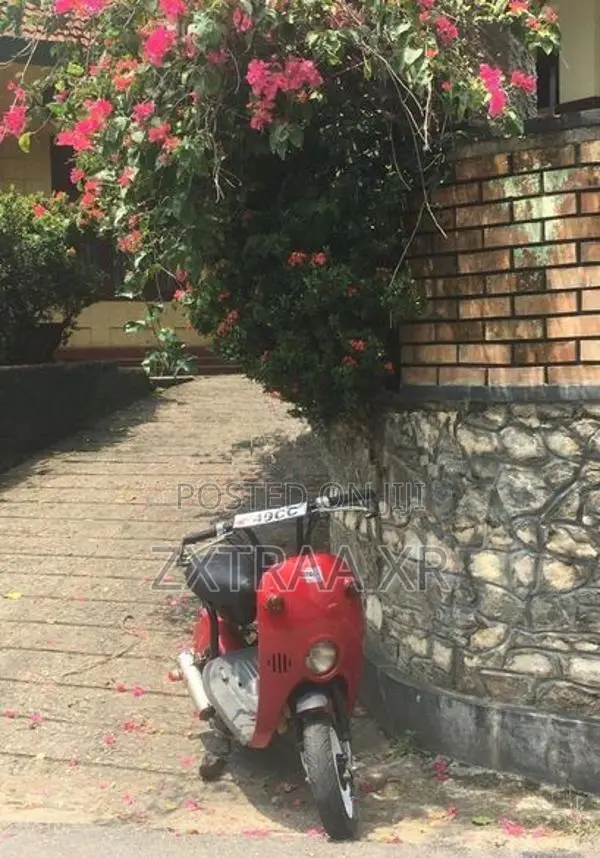 Suzuki Choi Nori 2015