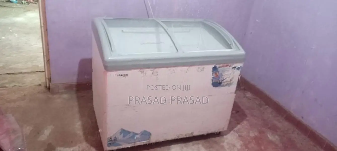 Singer Freezer