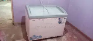 Singer Freezer