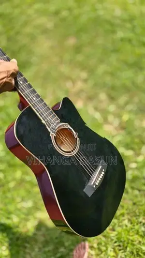 Guitar