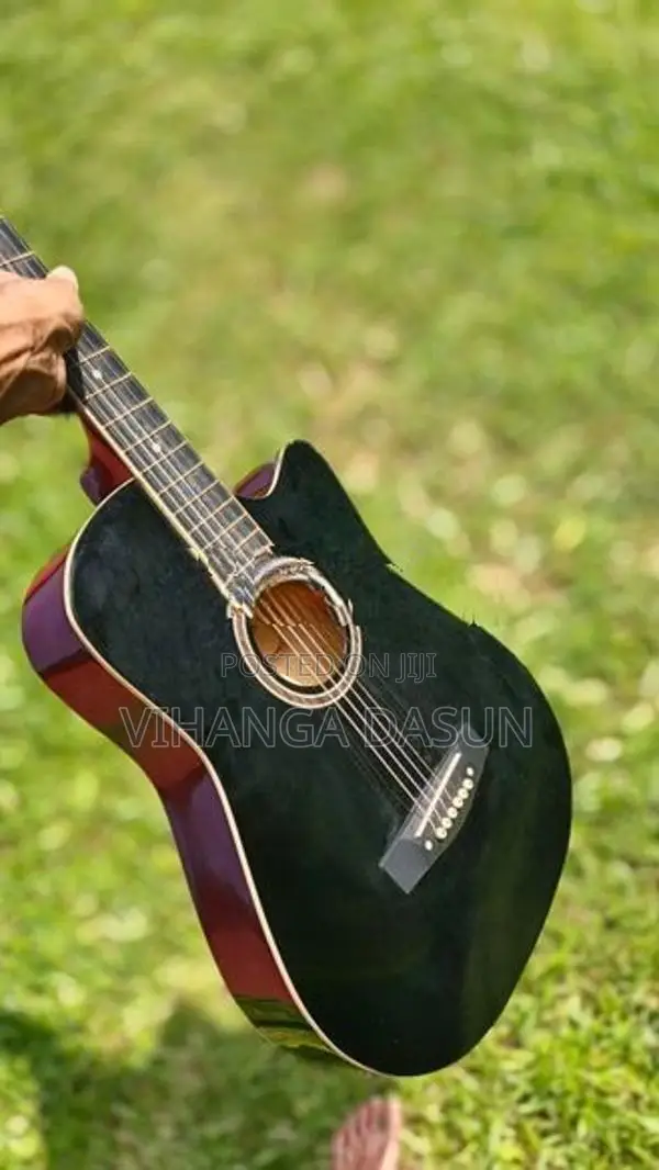 Guitar