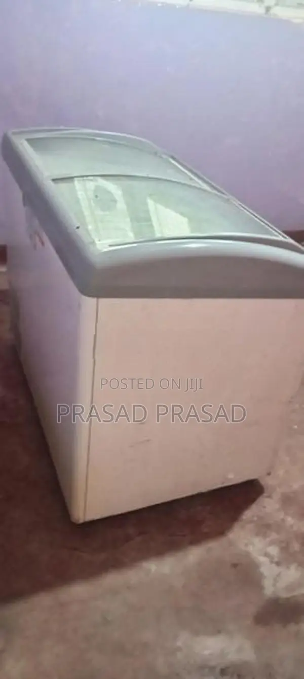 Singer Freezer