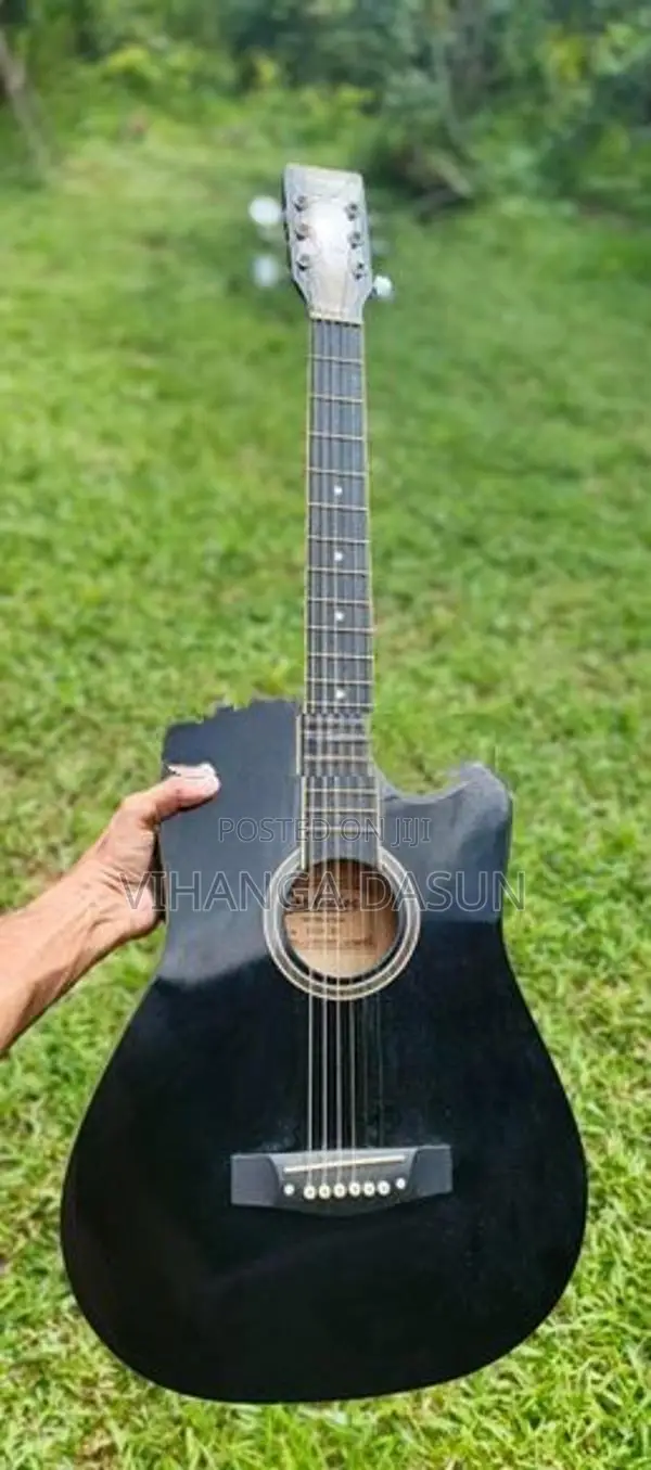 Guitar