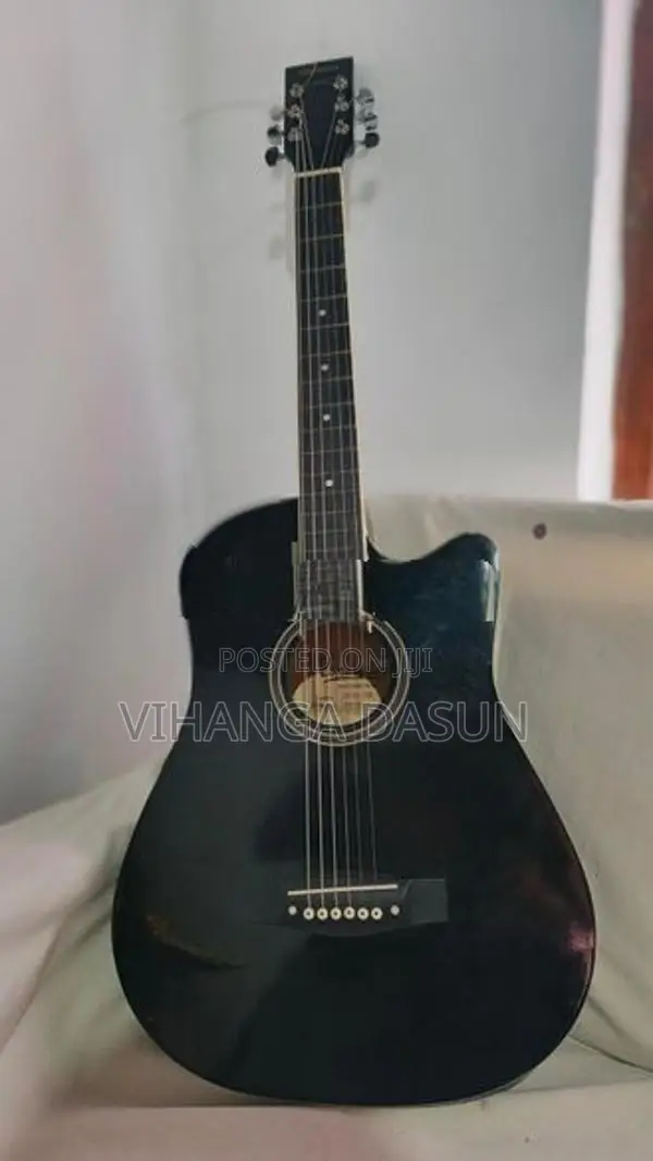 Guitar