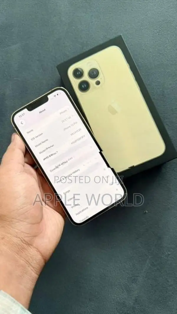 Apple iPhone 13 Pro 128Gb (Used)