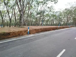 හෝමාගම බෙරුකැටිය බිම් කොටස් විකිණීමට