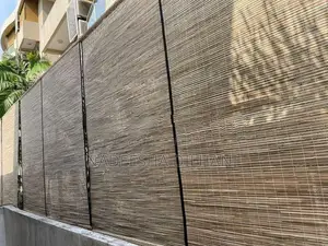 බට පැළලි