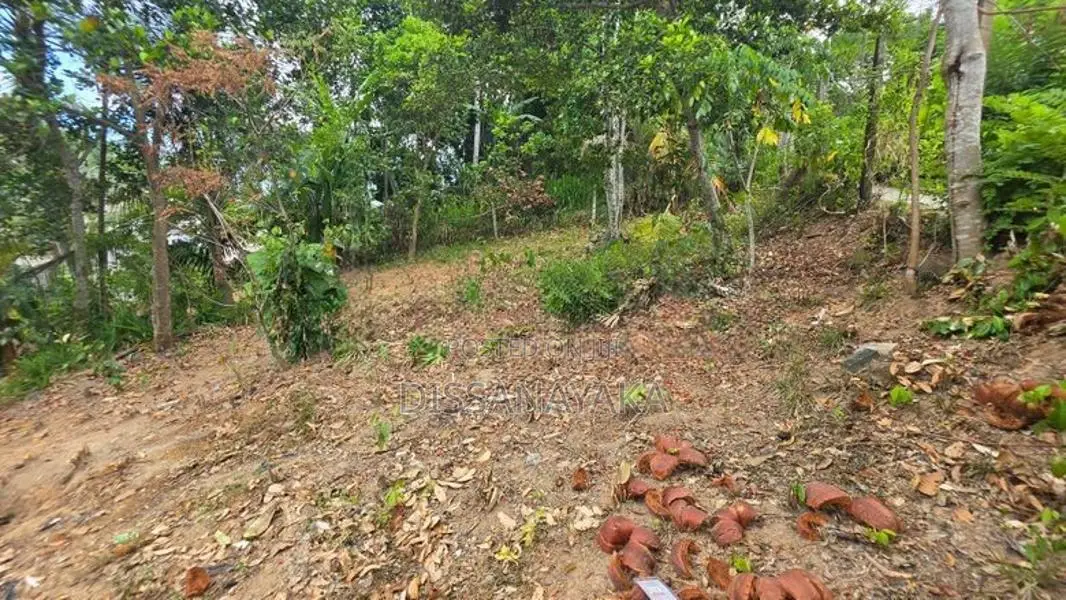 Land for Sale Wanchawala