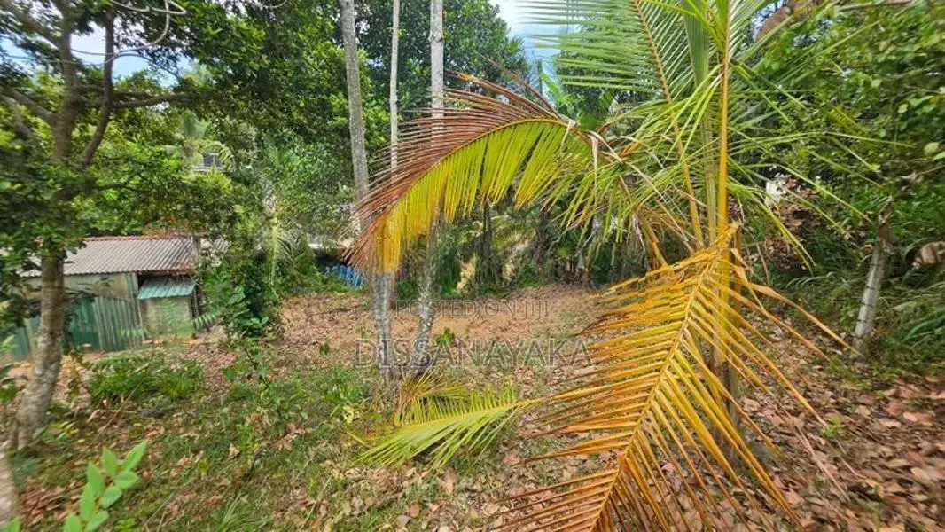 Land for Sale Wanchawala