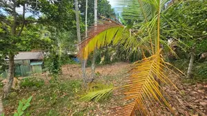 Land for Sale Wanchawala