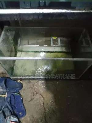 2feet Fish Tank