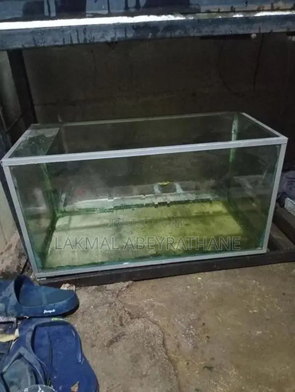 2feet Fish Tank