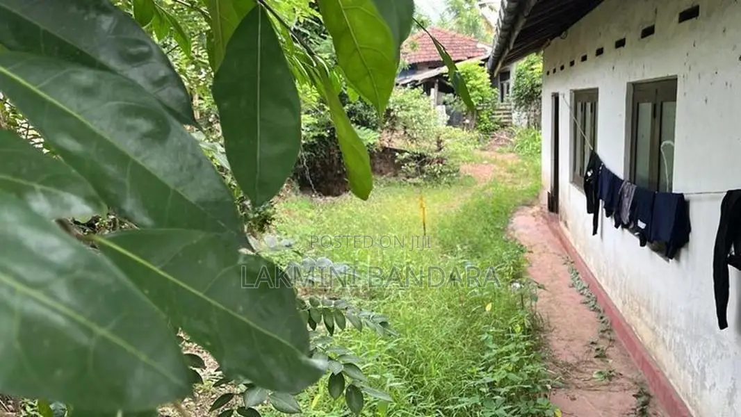 ඉඩම සමඟ නිවස විකිණීමට හොන්නන්තර, පිළියන්දල