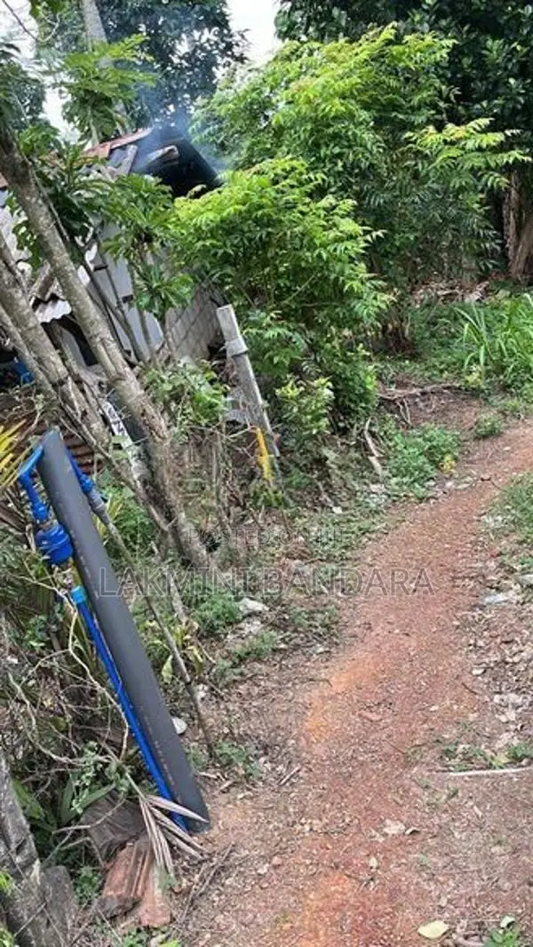 ඉඩම සමඟ නිවස විකිණීමට හොන්නන්තර, පිළියන්දල